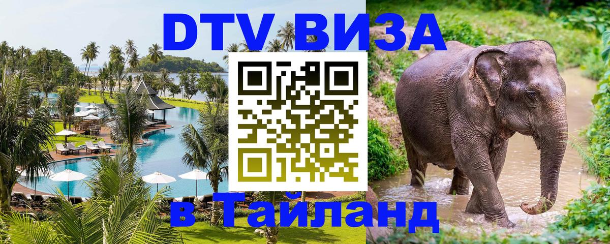 Цены на DTV визу в Таиланд — пакеты услуг, достаточно даже паспорта - Белгород  07.01.2026 